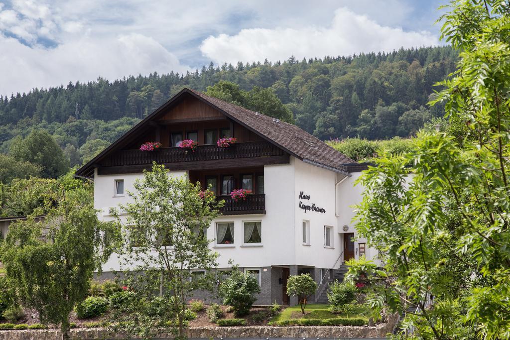 Haus Kesper-Brunen Hotel Вилинген Екстериор снимка